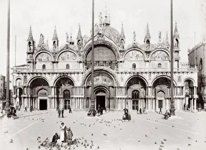 Feeding pigeons in St Marks Square, , Venice, Italy