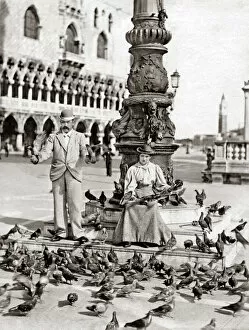 Images Dated 14th October 2015: Feeding pigeons, Venice, Italy circa 1900