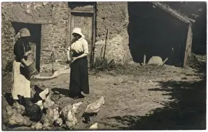 Farm Yard Prints: Feeding Poultry