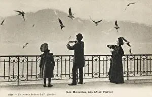 Feeding the seagulls - Lake Geneva, Switzerland