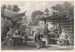 Feeding Silkworms / China