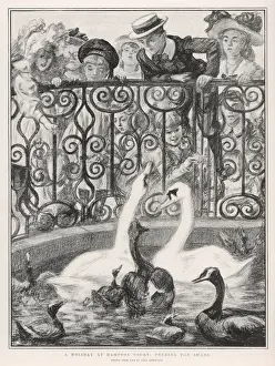 Eager Prints: Feeding the Swans / 1901