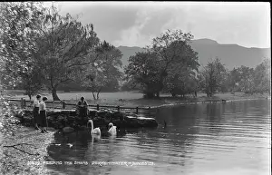 Keswick Prints: Feeding the Swans
