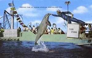 Feeding time - Marine Studios, Marineland, Florida, USA