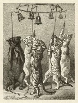 1875 Collection: Feline Bell-Ringers 1875