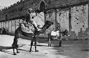 ARAB MAN