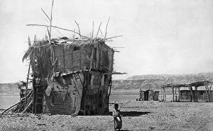 Sticks Collection: Fellah's makeshift hut, Dead Sea, Holy Land