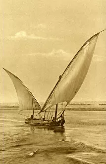 Triangular Collection: Felucca with lateen sails on the River Nile, Egypt