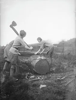 Huge Collection: Female Lumberjacks