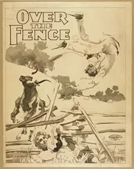Over the fence
