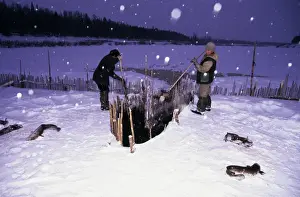 Traps Prints: Fence-fishing, North Siberia, Russia