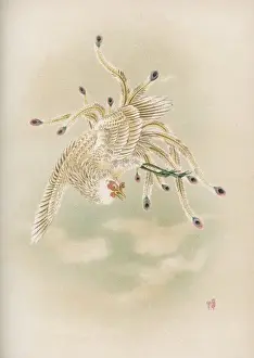 Phoenix Prints: Feng-Hwang Bird