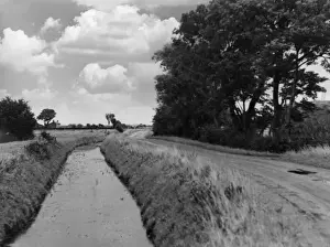 Dyke Prints: A Fenland Dyke