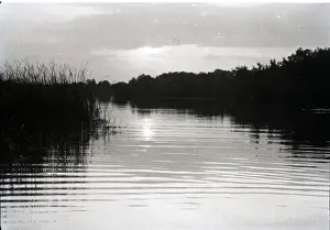 Fenn Prints: Fenn Creek, Kent