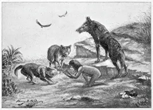 Feral Children
