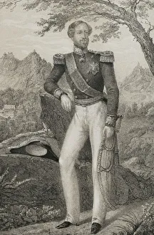 Julio Prints: Ferdinand II of Portugal (1816-1885). King of