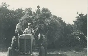 Ferguson TE 20 Vintage Tractor and Haycart