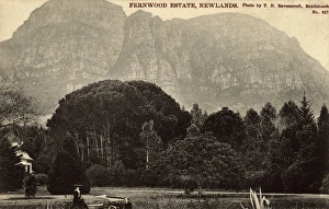 Images Dated 9th March 2016: Fernwood Estate, Newlands, Cape Town, South Africa