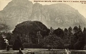 Suburb Prints: Fernwood Estate, Newlands, Cape Town, South Africa