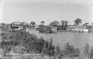 Ferns Prints: Ferry Reach, Horning