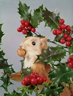 Enormous Collection: Festive Nutty Squirrel 2