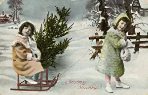 Toboggan Prints: Fetching Tree on Sledge