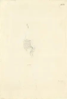 George Forster Prints: Ff. 252 sketch by George Forster