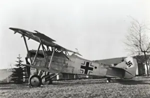Biplane Prints: Fiat CR-20