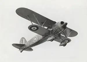 Fiat CR-42 Falco
