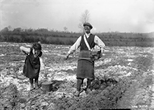 THE SOWER