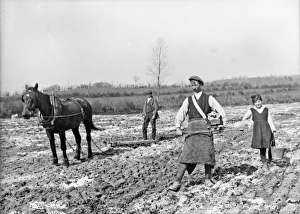 THE SOWER