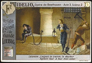 Fidelio - Liebig