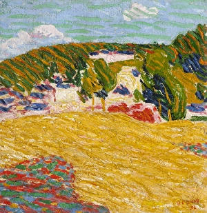 Images Dated 13th September 2010: Field of Corn, Pont Aven