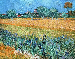1888 Collection: Field with Flowers near Arles by Van Gogh