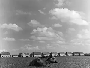Spacious Prints: Fields and Housing
