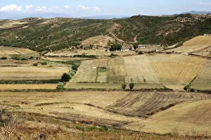 Agriculturist Gallery: Around Fier. Rural scenary. Republic of Albania