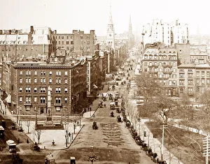 Fifth Avenue, New York, USA