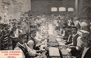 Packs Gallery: Fig packing - Djanik Elmassian Fig Factory, Izmir, Turkey