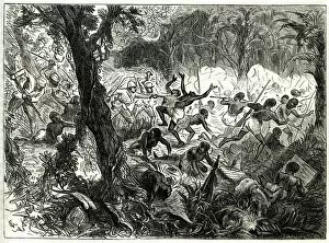 Images Dated 12th August 2021: Fight at Abracrampa, Third Anglo-Ashanti War or First Ashanti Expedition (1873-1874