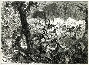 Bush Prints: Fight at Abracrampa, Third Anglo-Ashanti War or First Ashanti Expedition (1873-1874