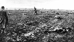 Images Dated 2nd January 2005: After a fight in Champagne: Bodies of fallen German soldiers strewn over a battlefield after action