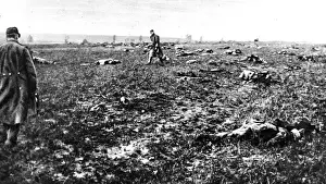 Strewn Prints: After a fight in Champagne: Bodies of fallen German soldiers strewn over a battlefield after action