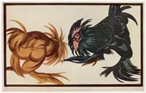 Fighting Cocks