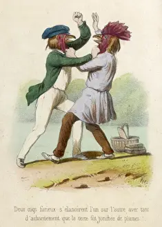 Fighting Cocks