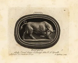 Antiquarian Prints: Figure of a charging bull. Taurus