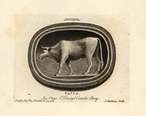 Figure of a cow