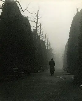 Waller Prints: Figure in the Mist