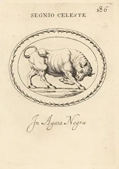 Charging Prints: Figure of Taurus as a charging bull