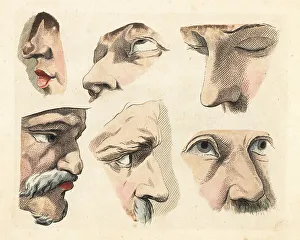Noses Prints: Figures of male eyes, noses, chins, mustaches and brows