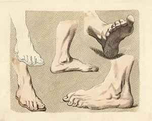 Ankles Prints: Figures of male feet, toes, ankles, from paintings